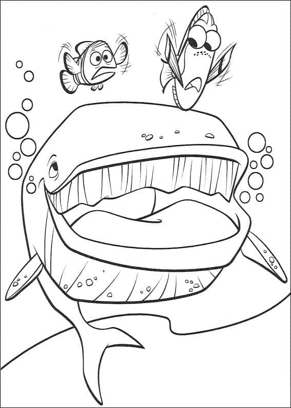 Kostenloses Findet Nemo zum Drucken ausmalbilder