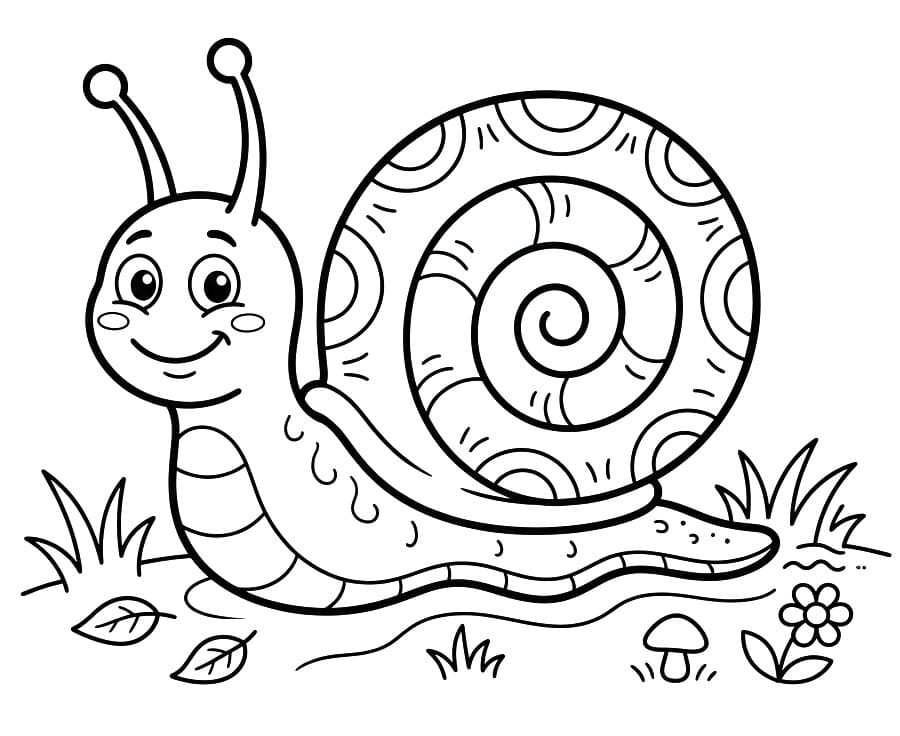 Schnecke gratis ausmalbilder