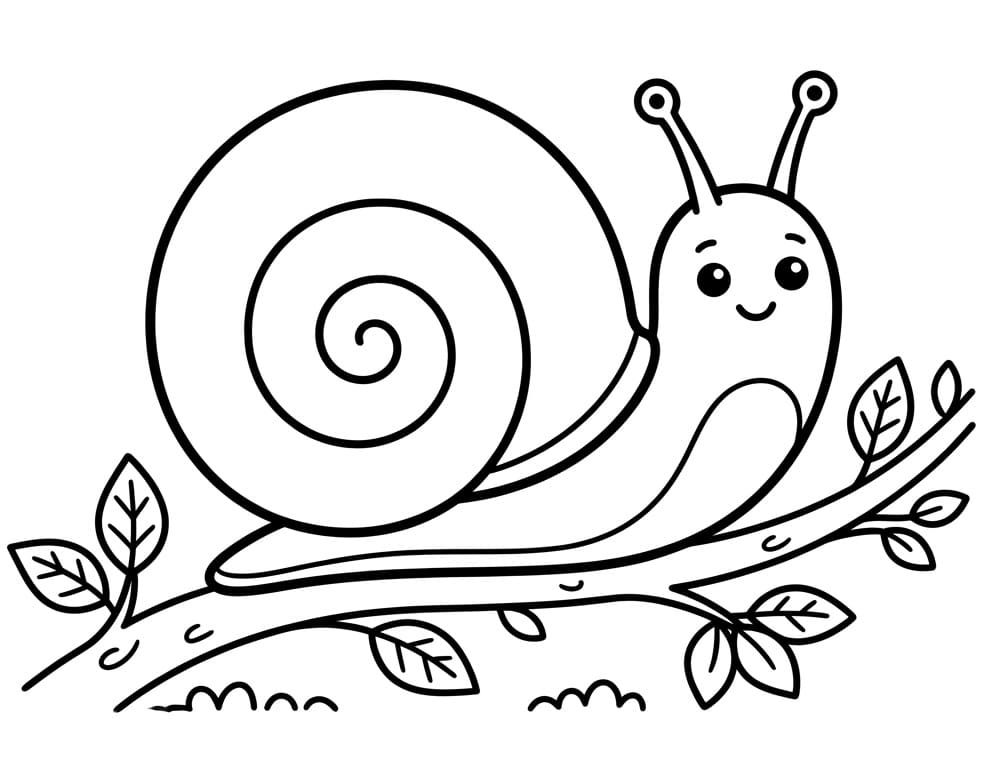 Schnecke kostenlos ausmalbilder