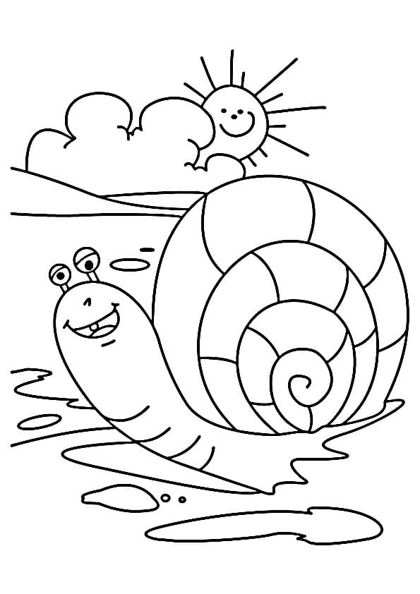 Schnecke zum Ausdrucken ausmalbilder