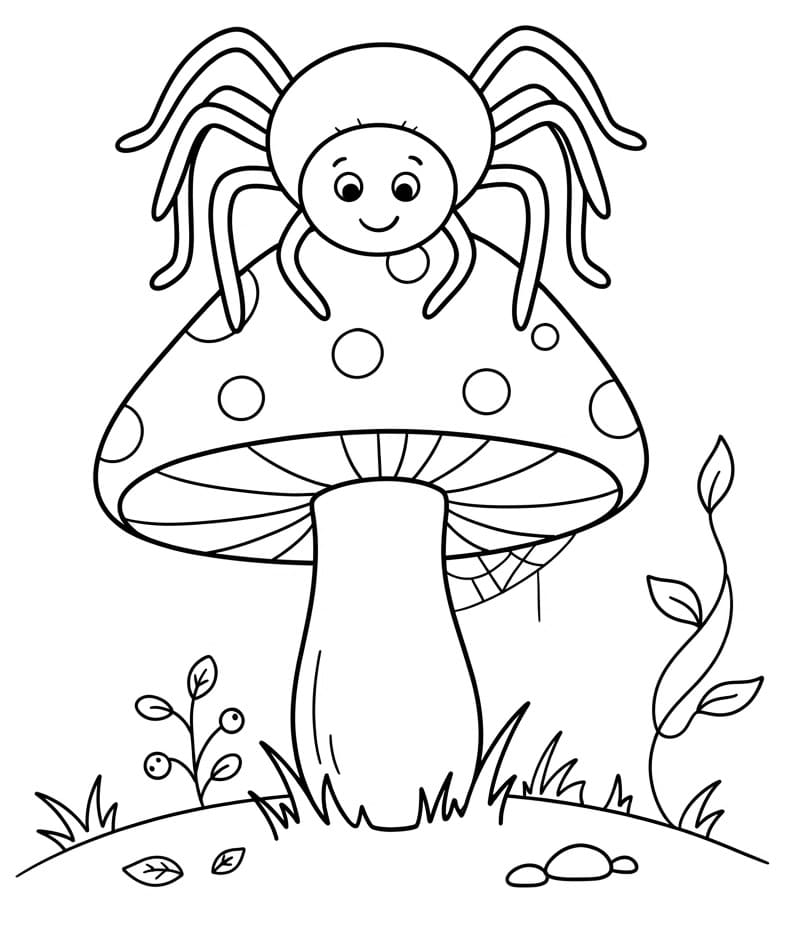 Spinne auf einem Pilz ausmalbilder