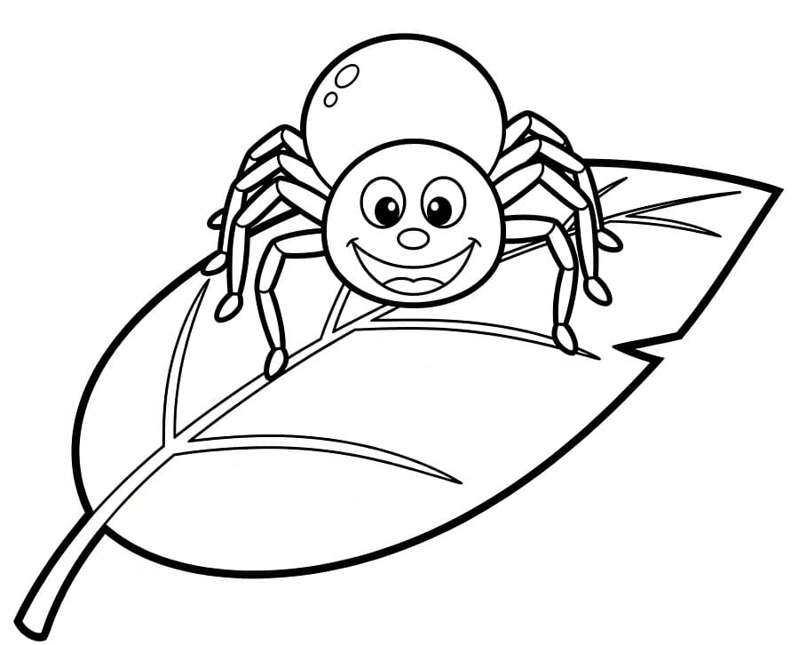 Spinne zum Ausdrucken ausmalbilder
