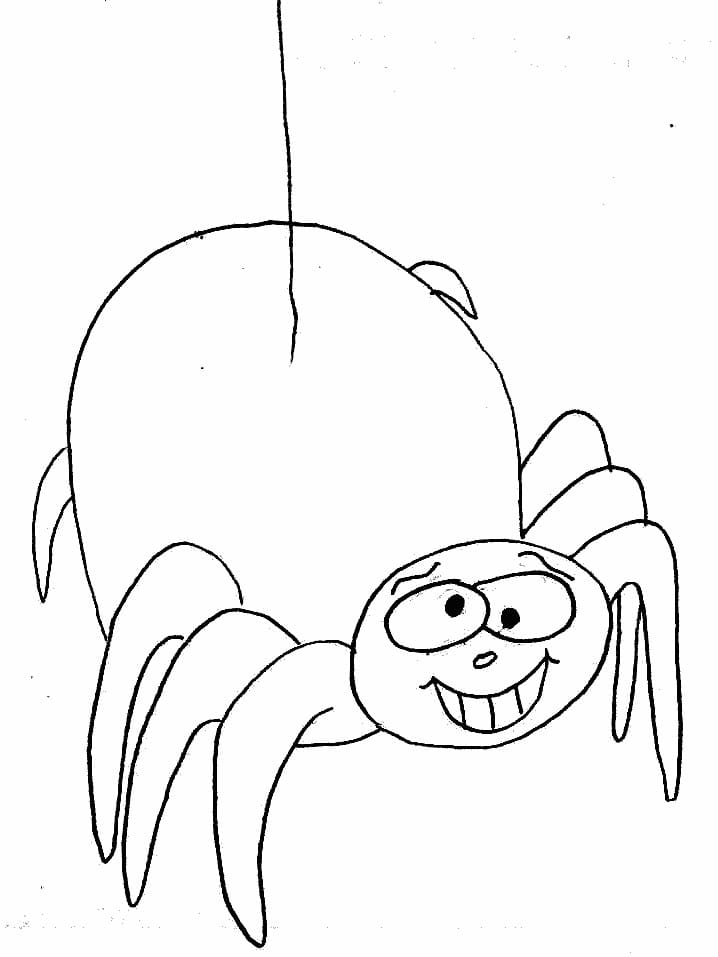 Spinnenbild ausmalbilder