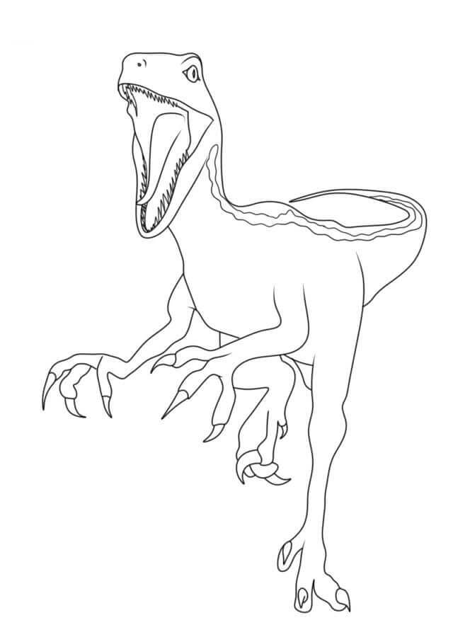 Velociraptor für 2-jährige Kinder ausmalbilder