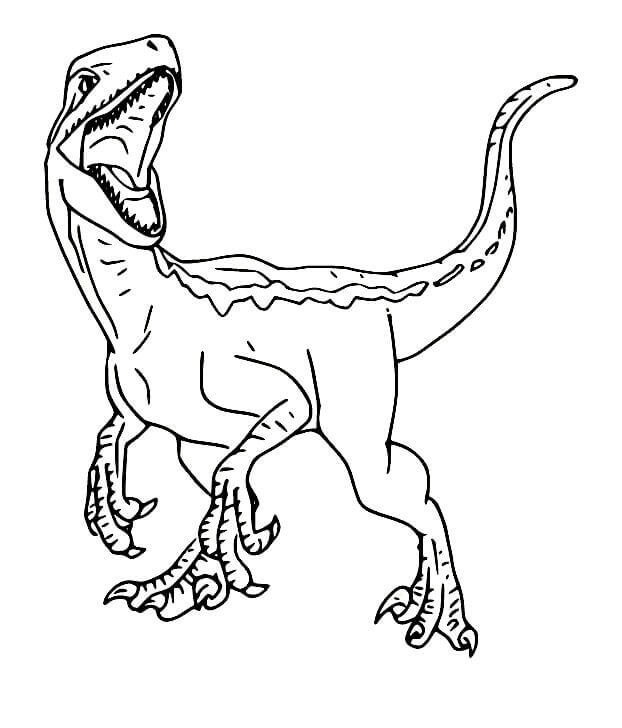Velociraptor für Kinder ausmalbilder