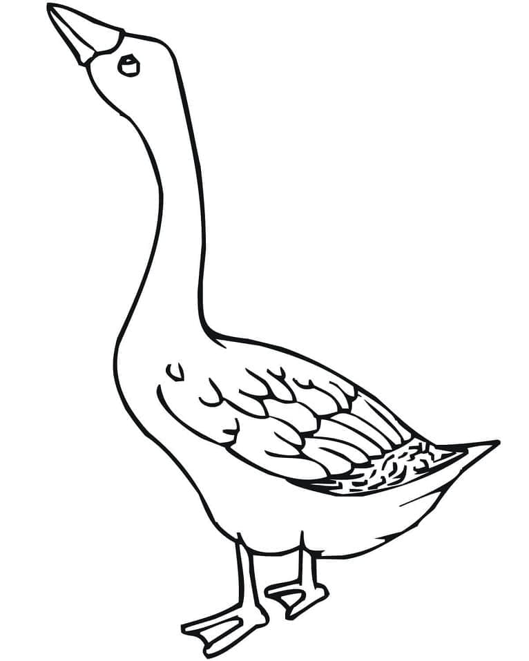 Ausdruckbare Gans für Kinder