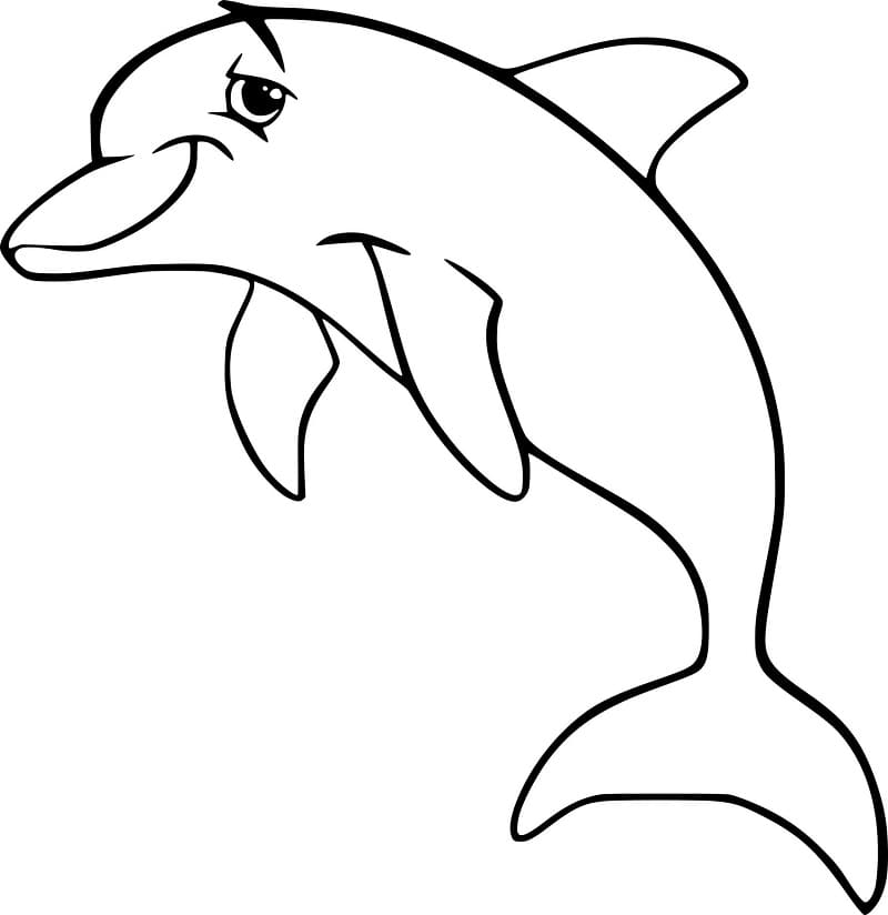 Cooler Delfin