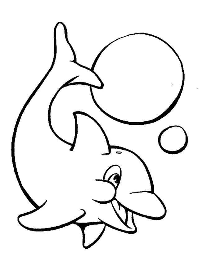 Delfin mit einem Ball