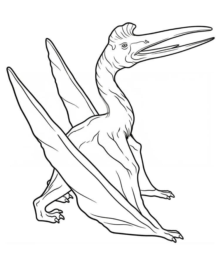 Druckbarer Pterodaktylus