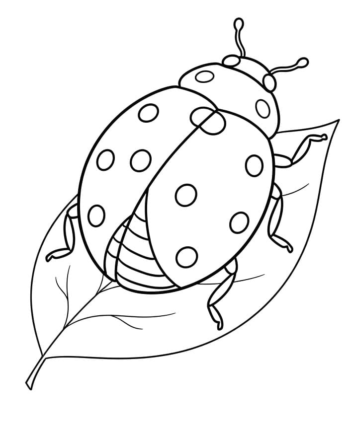 Ein Marienkäfer