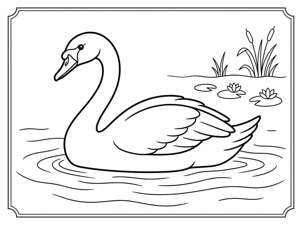 Ein niedlicher Schwan