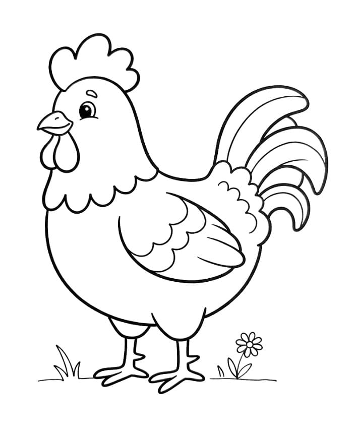 Ein niedliches Huhn