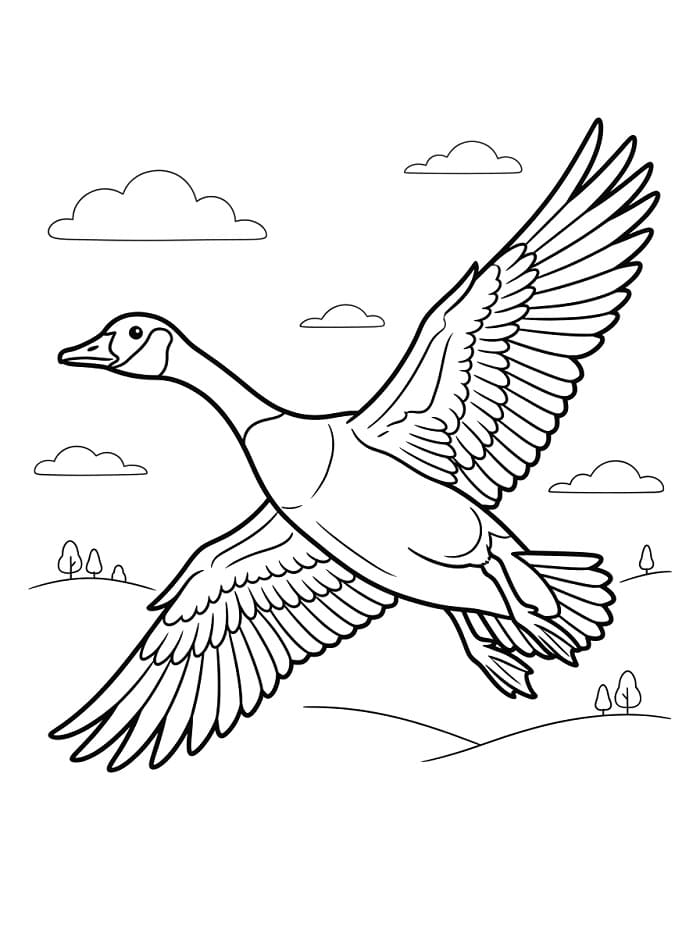 Eine Gans im Flug
