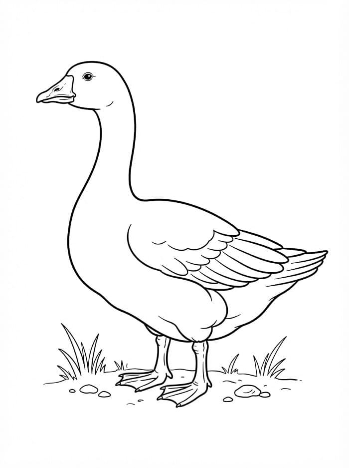 Eine Gans