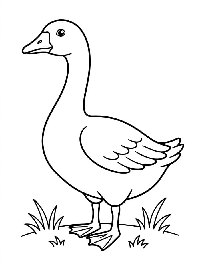Einfache Gans
