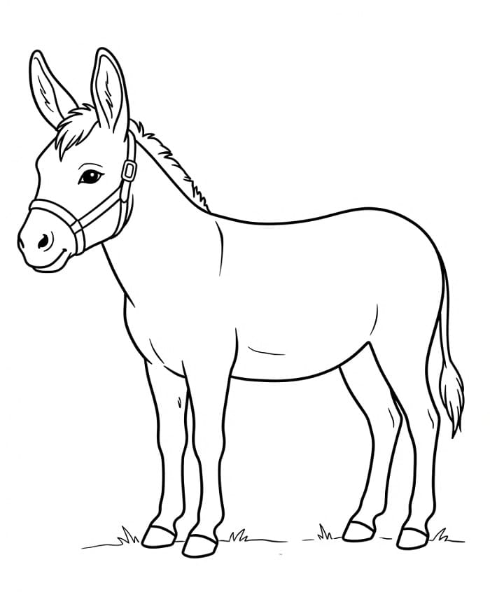 Esel auf dem Bauernhof