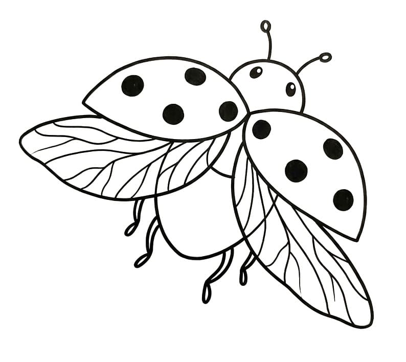 Fliegender Marienkäfer
