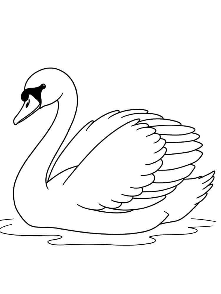 Fröhlicher Schwan