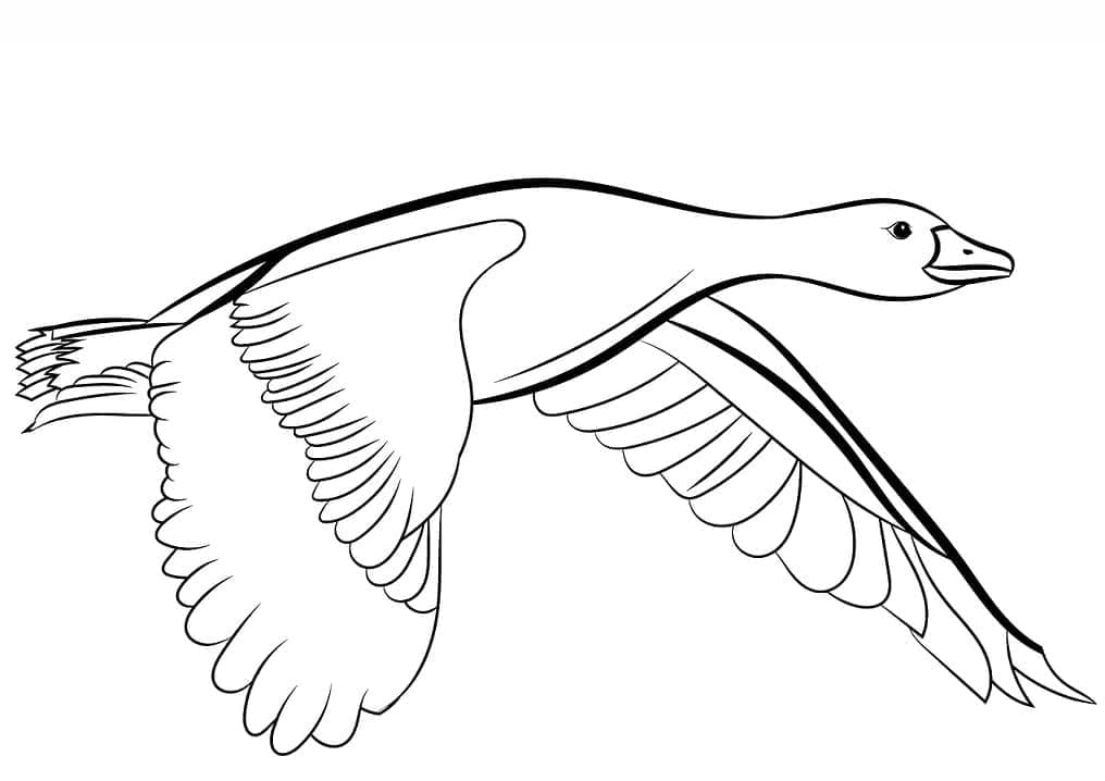 Gans-Bild