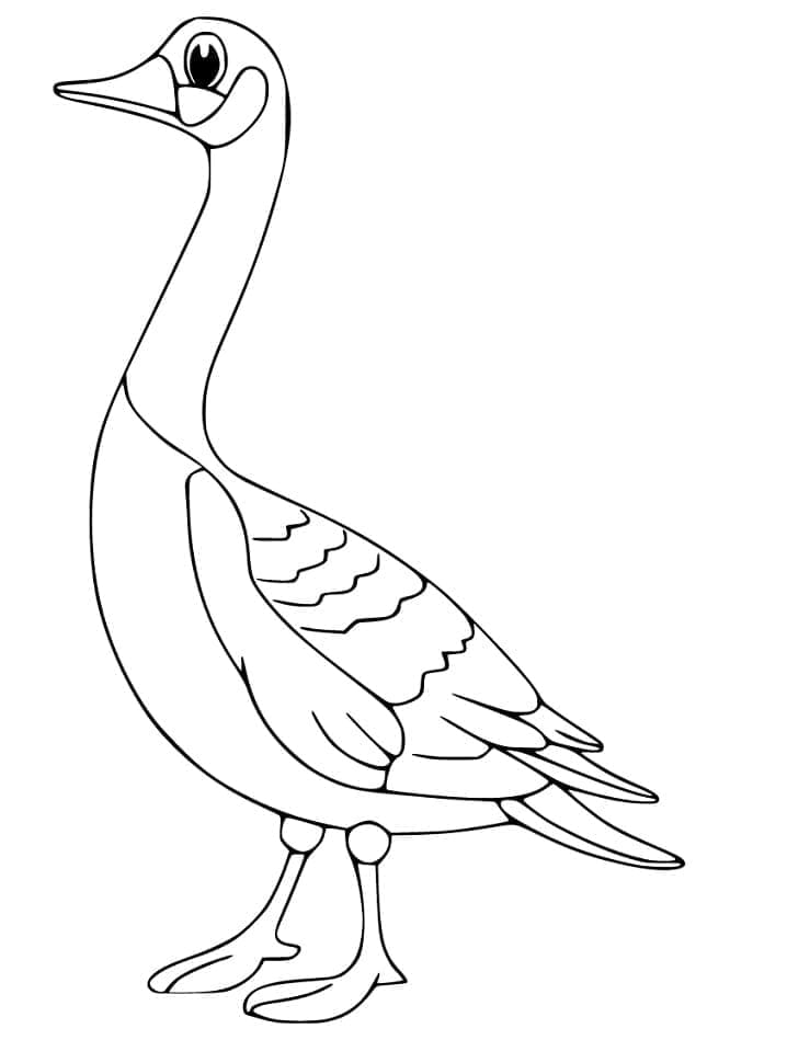 Gans für Kinder