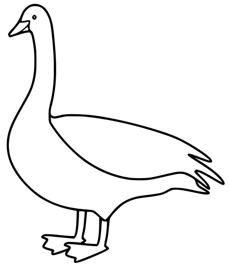 Gans gratis