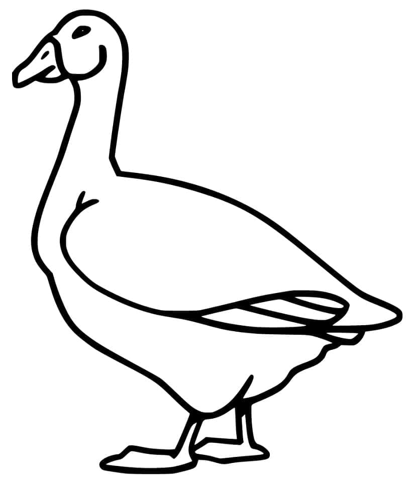 Gans zum Ausdrucken