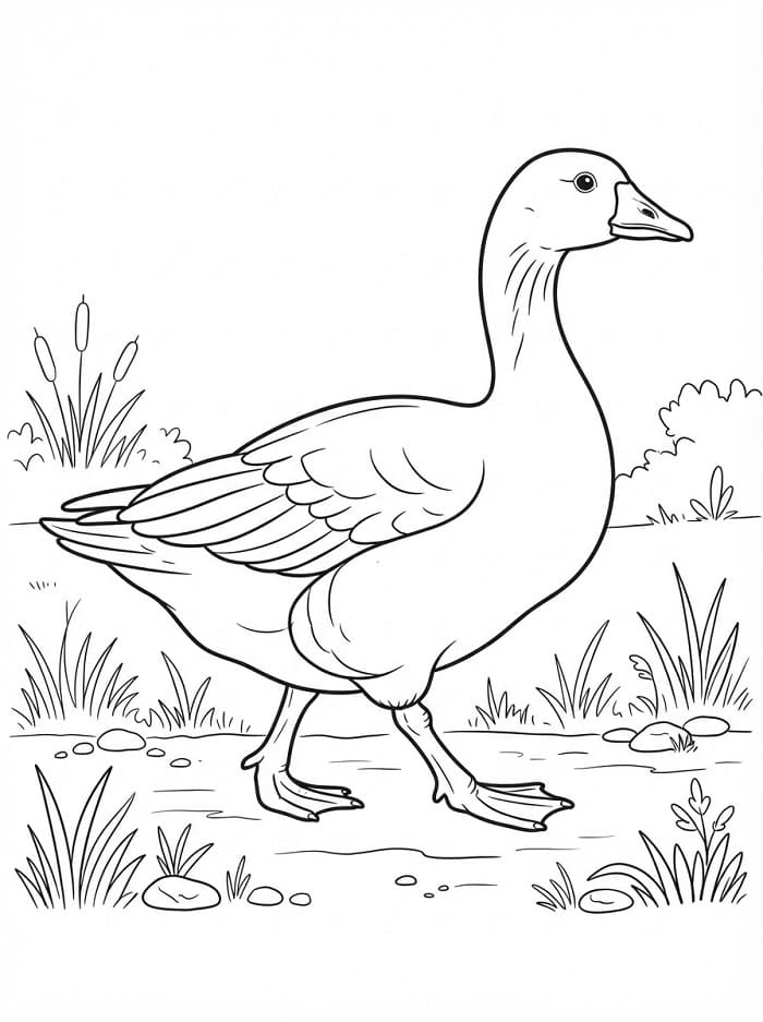 Gehende Gans