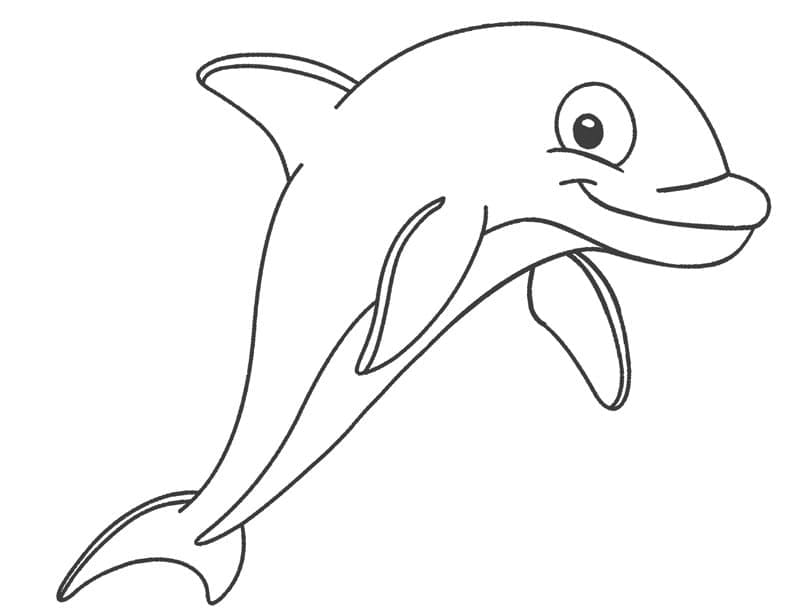 Glücklicher Delfin