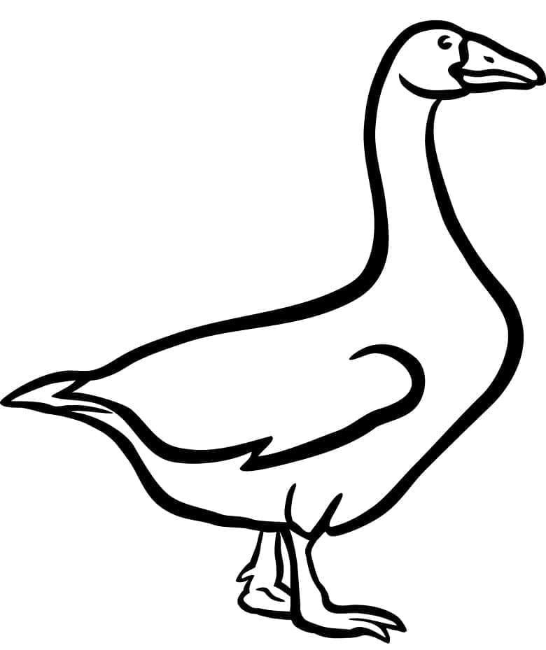 Gratis Gans für Kinder