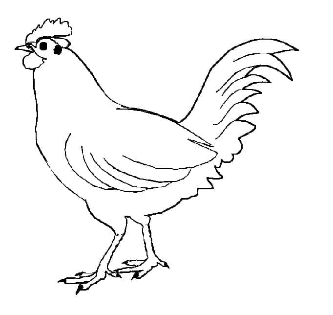 Gratis Huhn für Kinder
