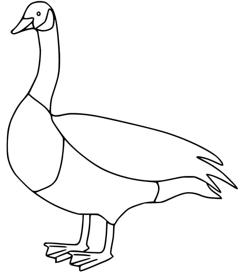 Gratis ausdruckbare Gans