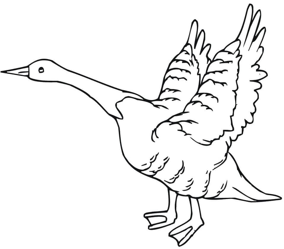 Gratis druckbare Gans
