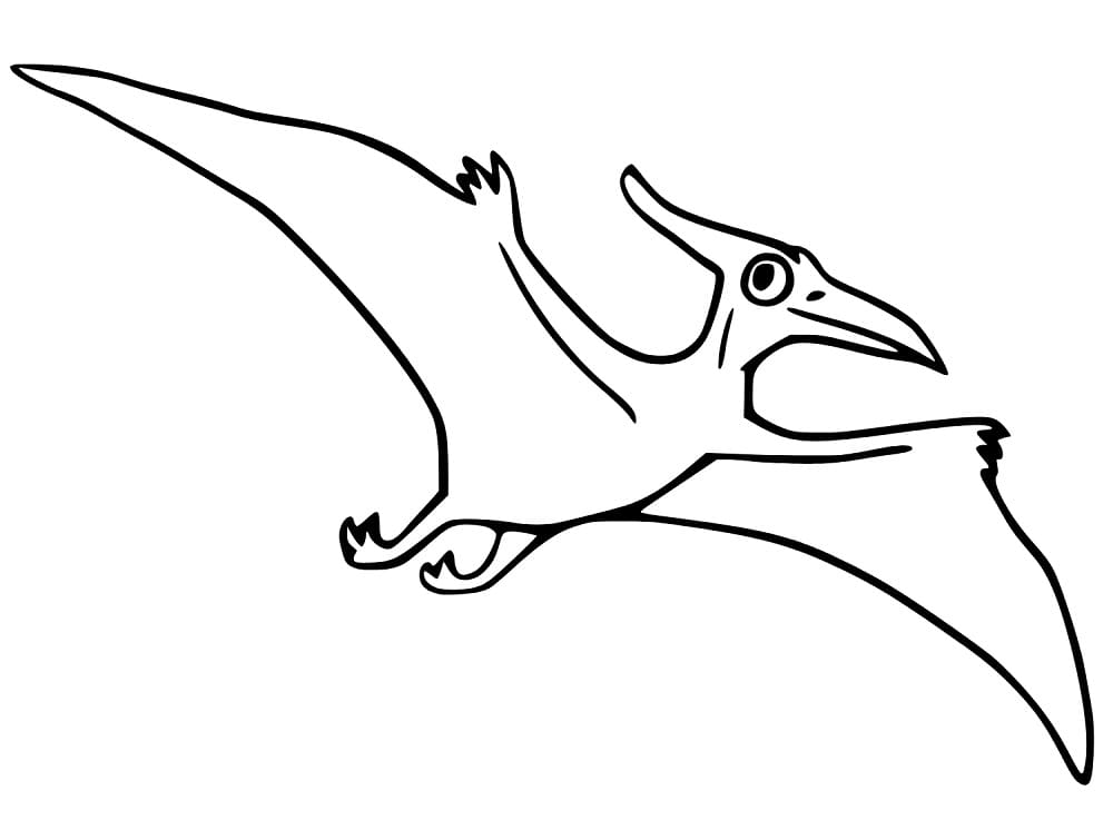 Grundlegender Pterodaktylus