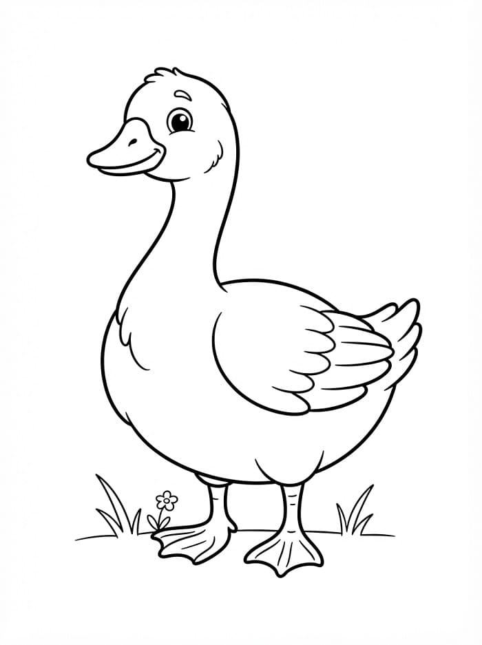 Hübsche Gans