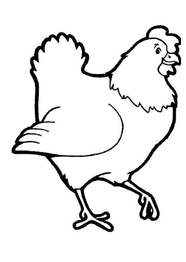 Huhn-Bild