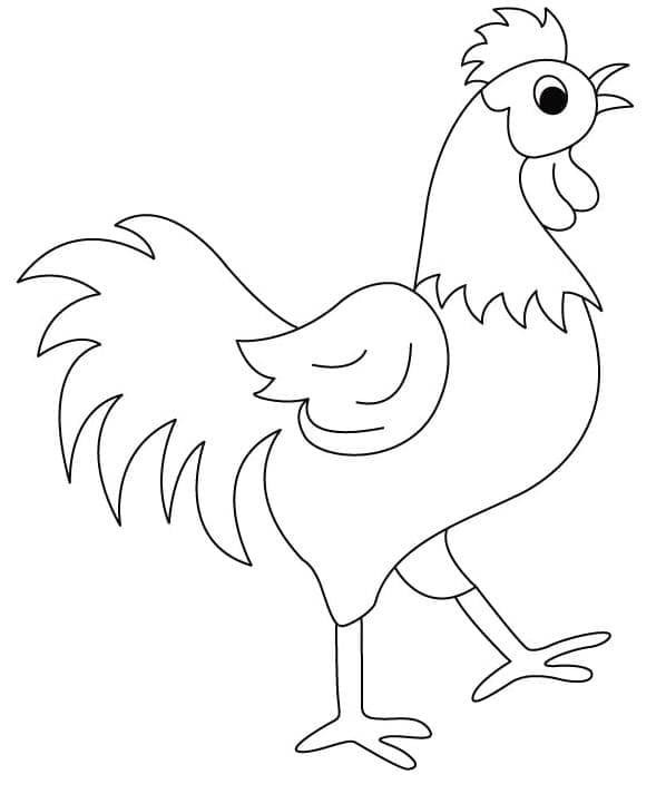 Huhn für 2-jährige Kinder