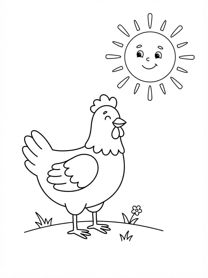 Huhn mit Sonne