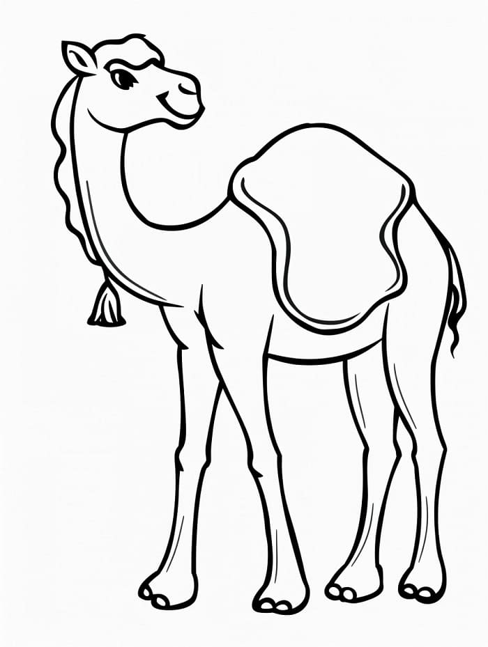 Kamel gratis