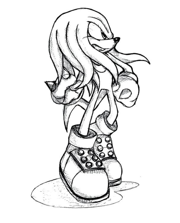 Knuckles-Bild