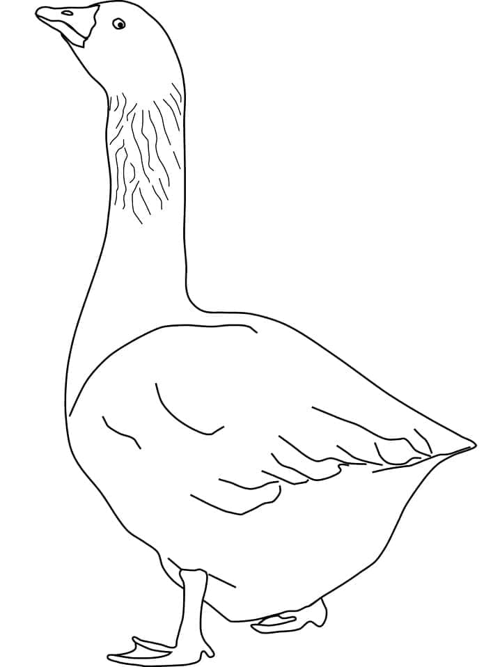 Kostenlos druckbare Gans