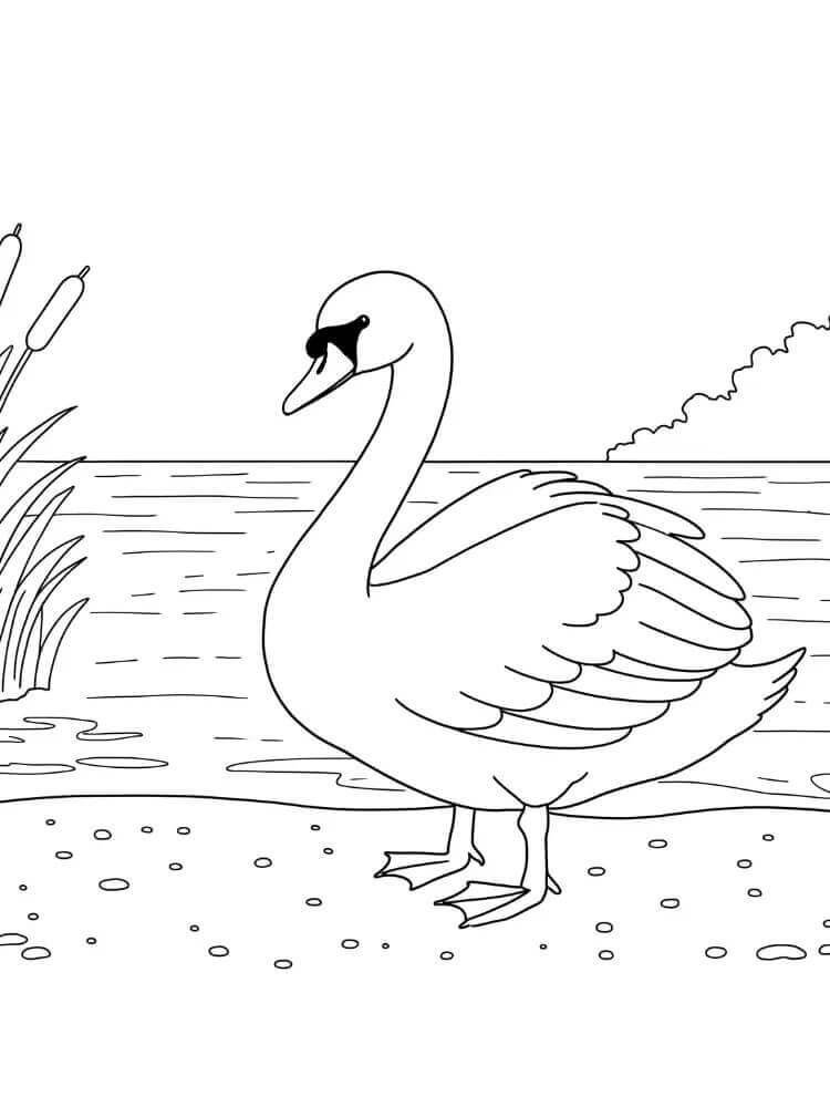 Kostenlos druckbarer Schwan