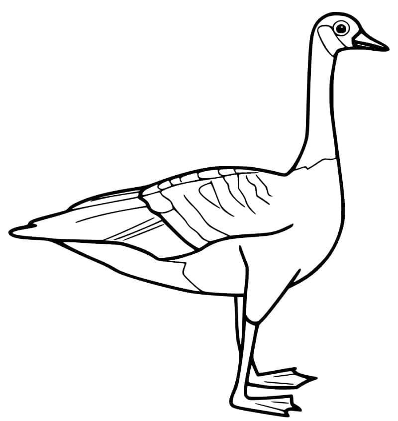 Kostenlose Gans für Kinder