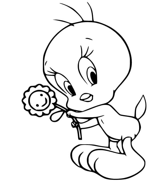 Kostenloses Bild von Tweety