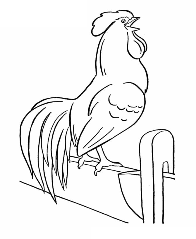 Kostenloses Huhn-Bild