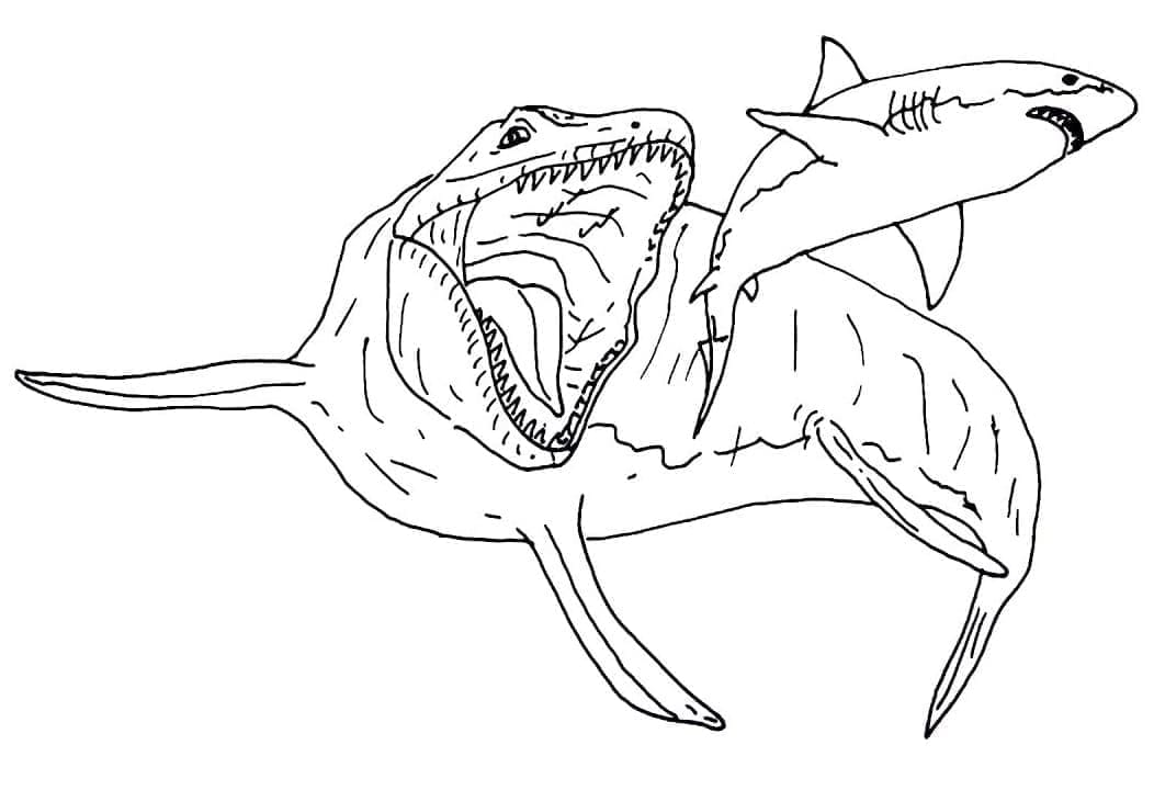 Kostenloses Mosasaurus-Bild