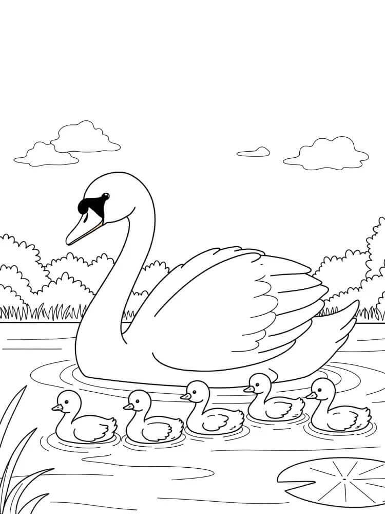 Kostenloses Schwan-Bild