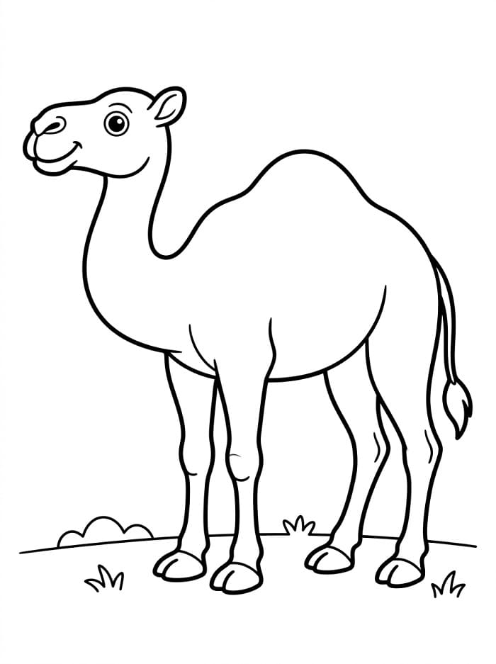 Lächelndes Kamel