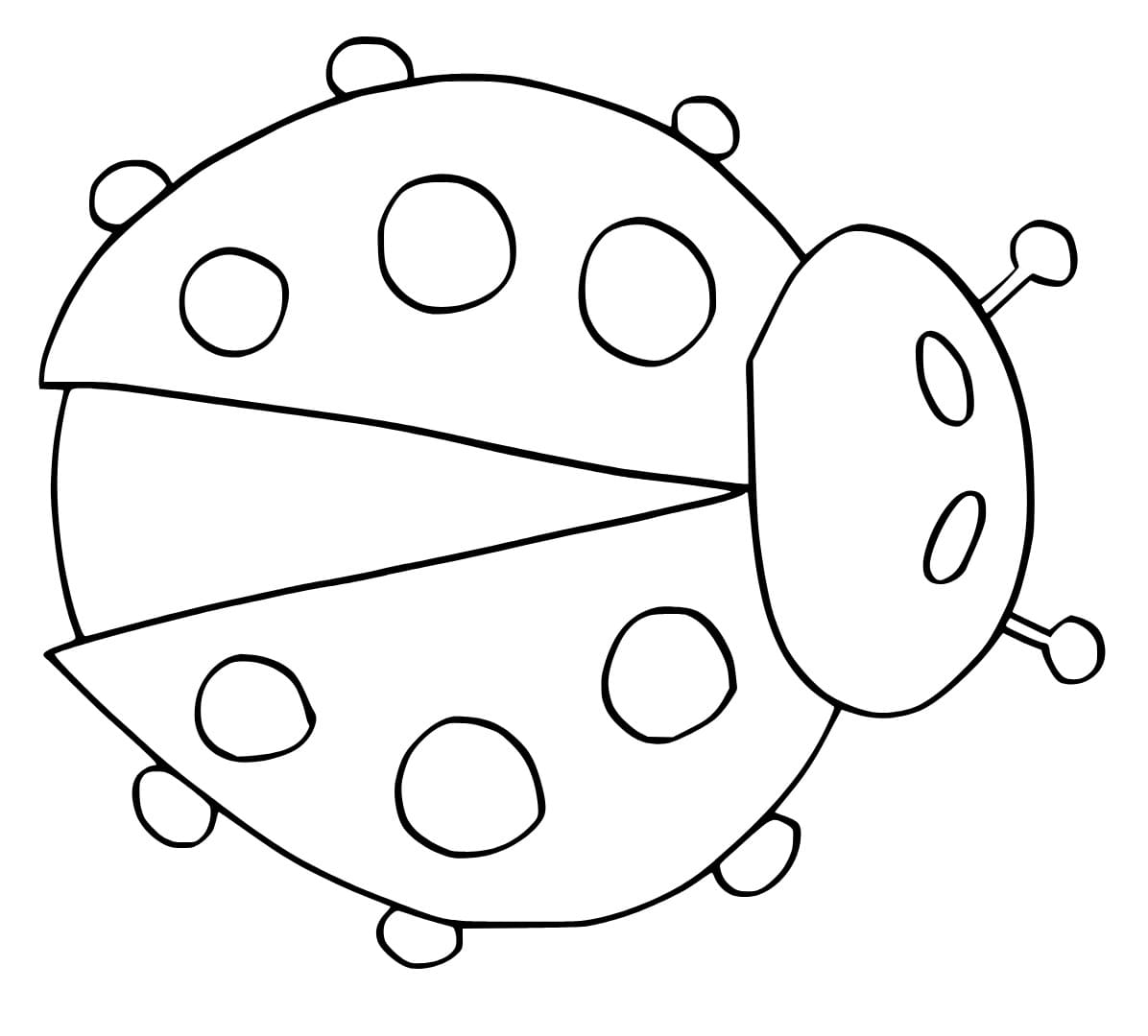 Marienkäfer-Bild
