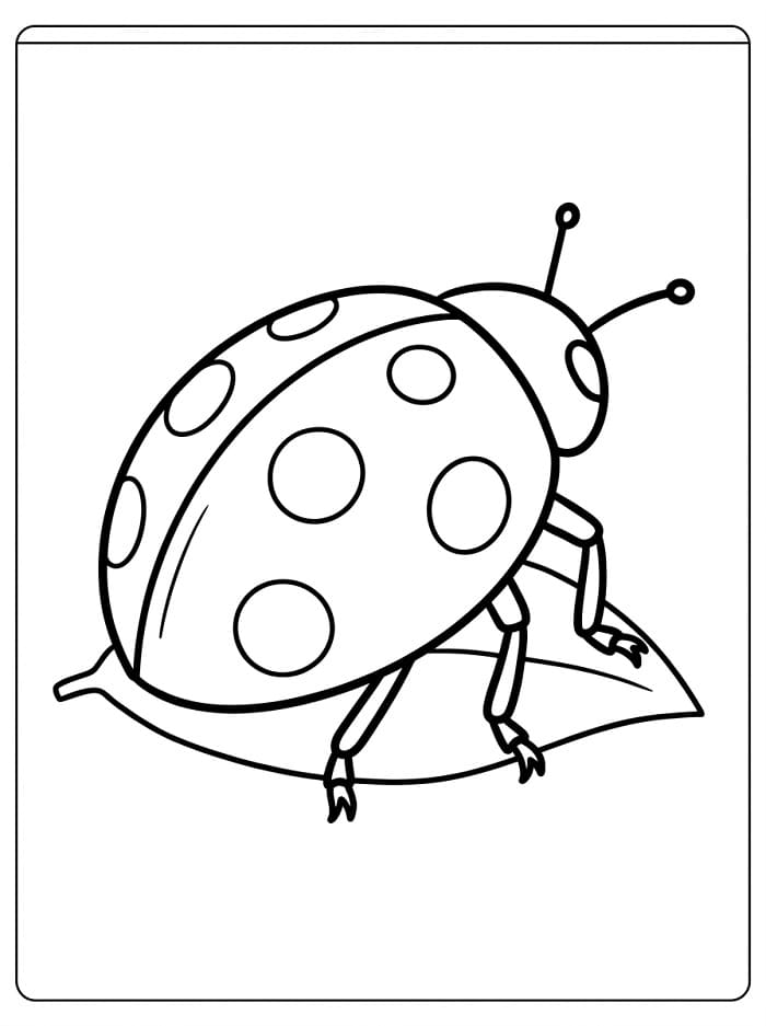Marienkäfer auf einem Blatt