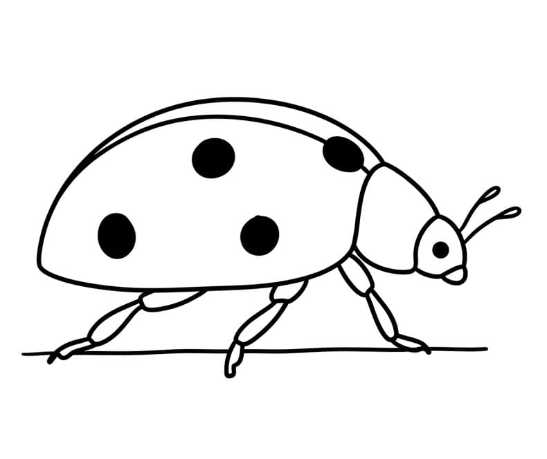 Marienkäfer kostenlos